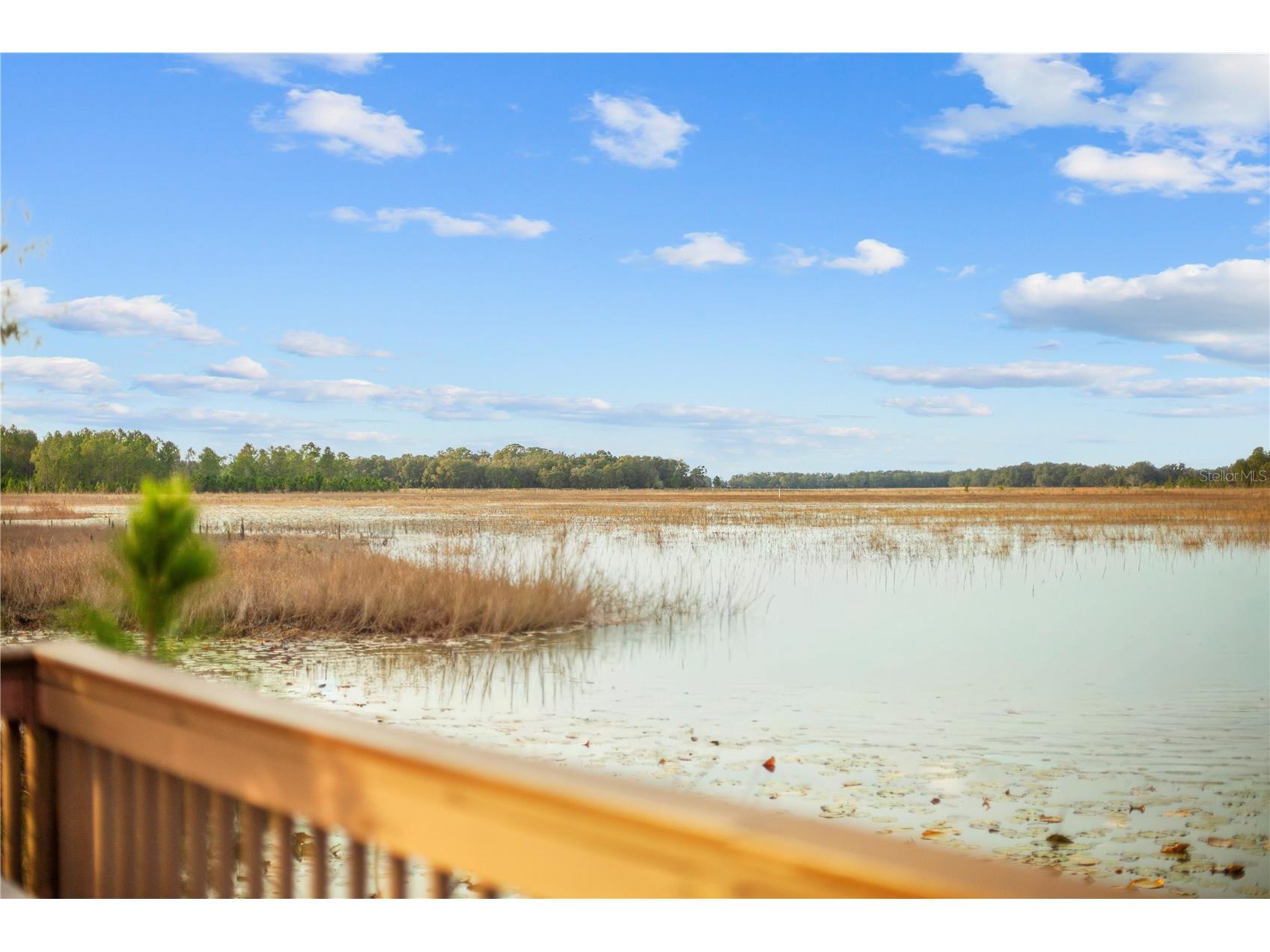 Falabella Groveland FL 34736 O6376979 image16