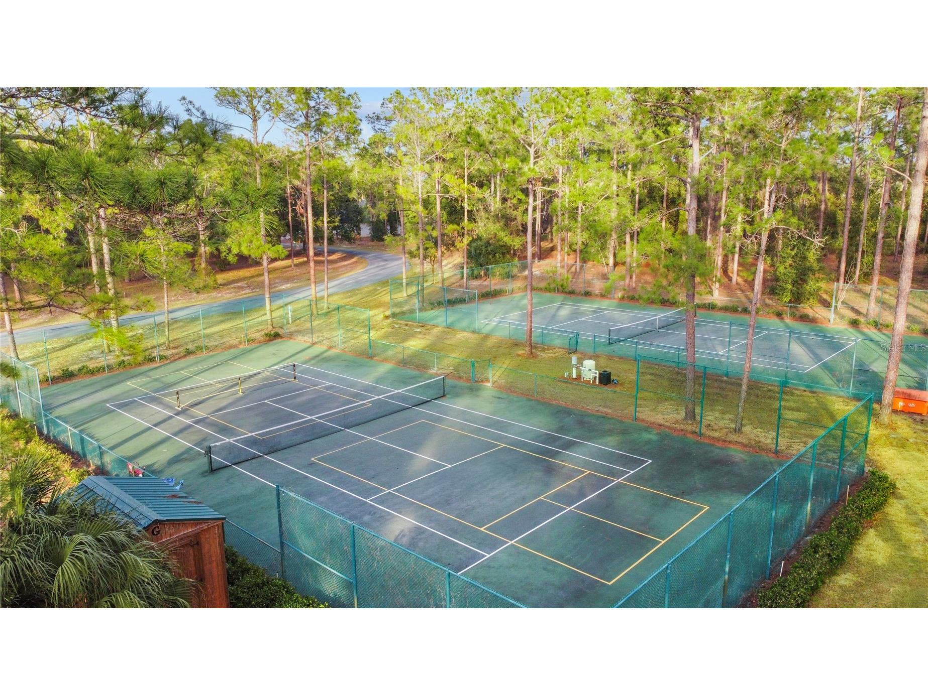 Falabella Groveland FL 34736 O6376979 image19