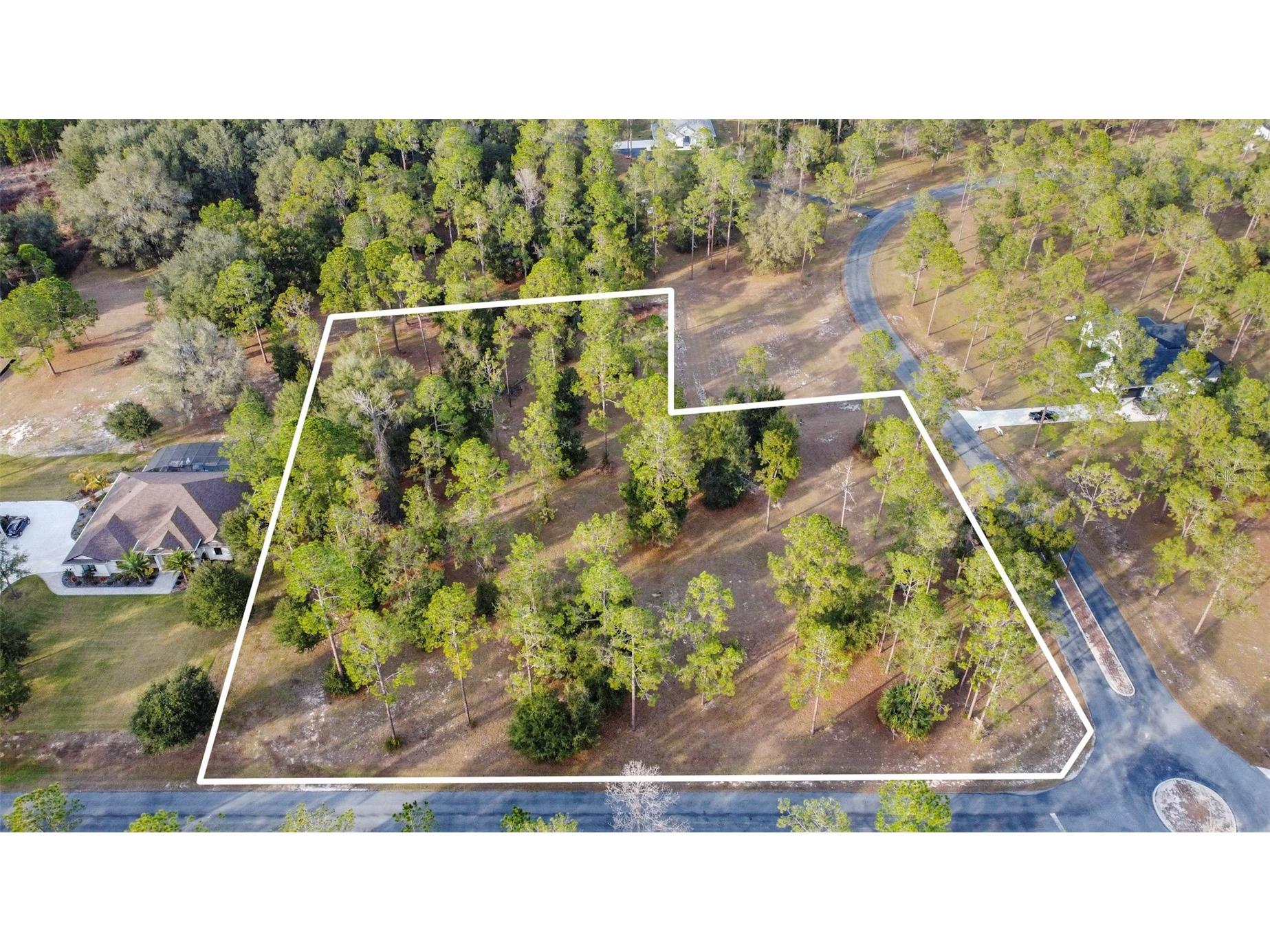 Falabella Groveland FL 34736 O6376979 image2