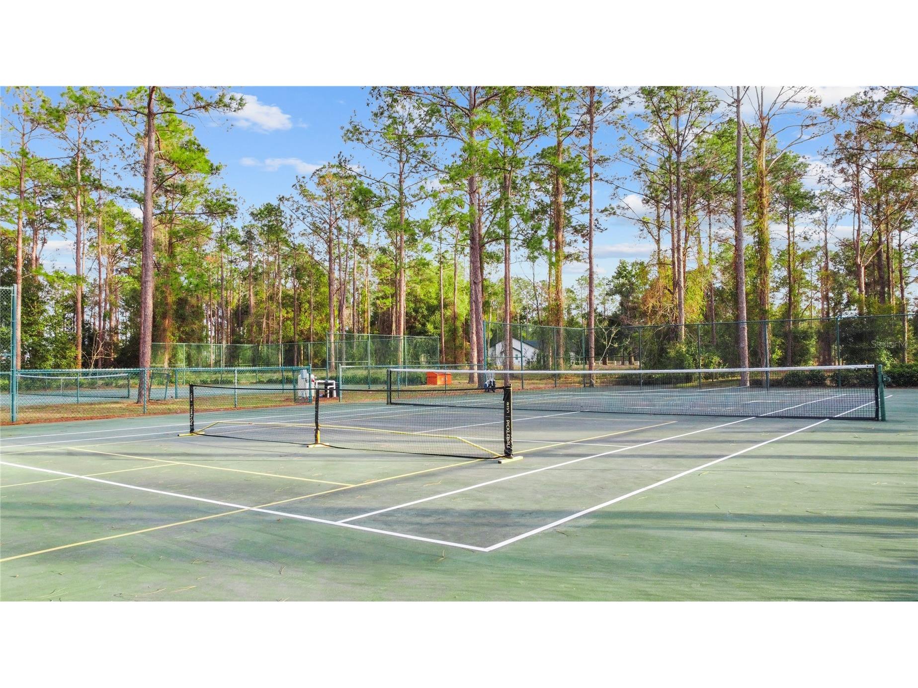 Falabella Groveland FL 34736 O6376979 image20