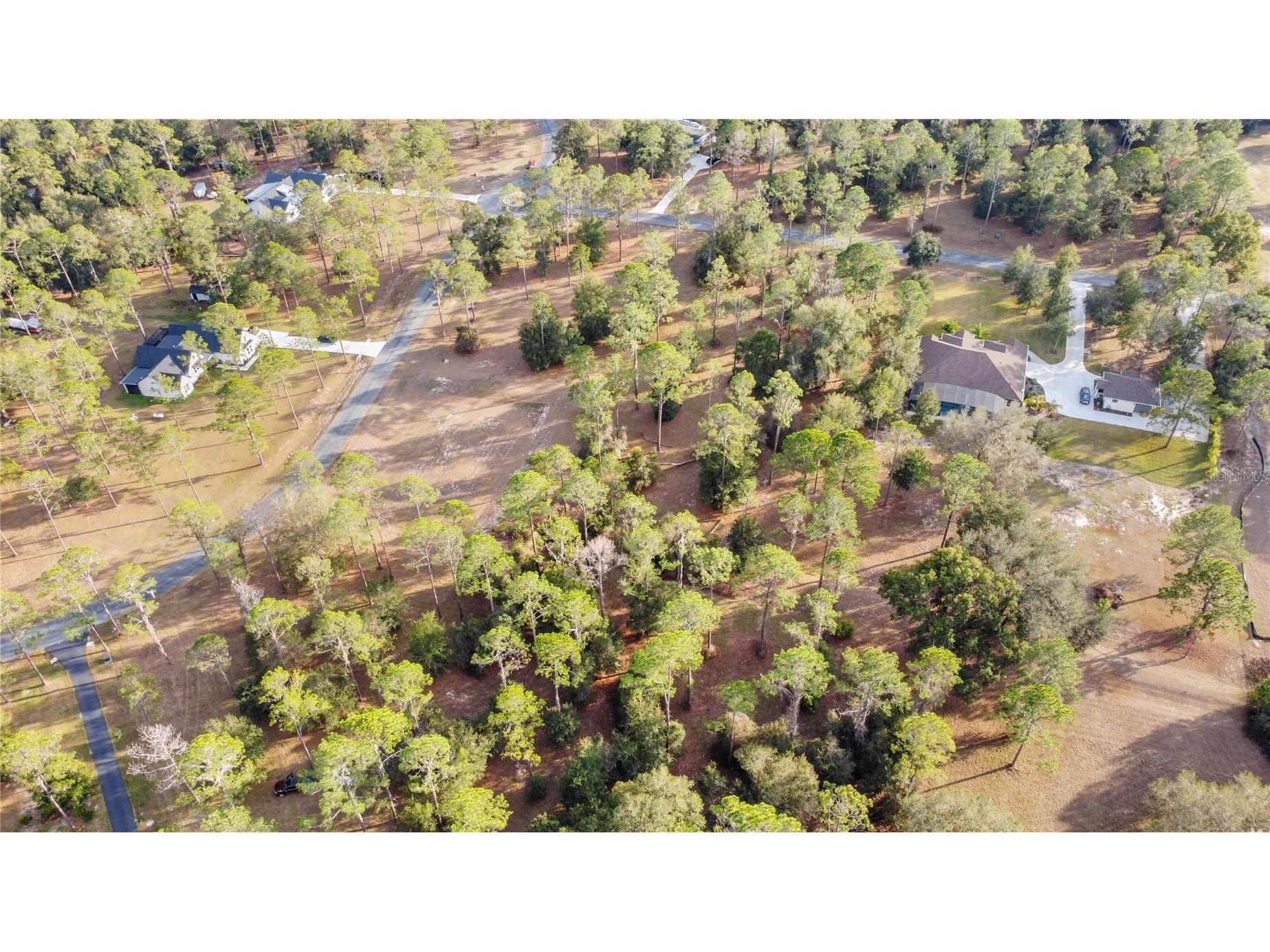 Falabella Groveland FL 34736 O6376979 image22