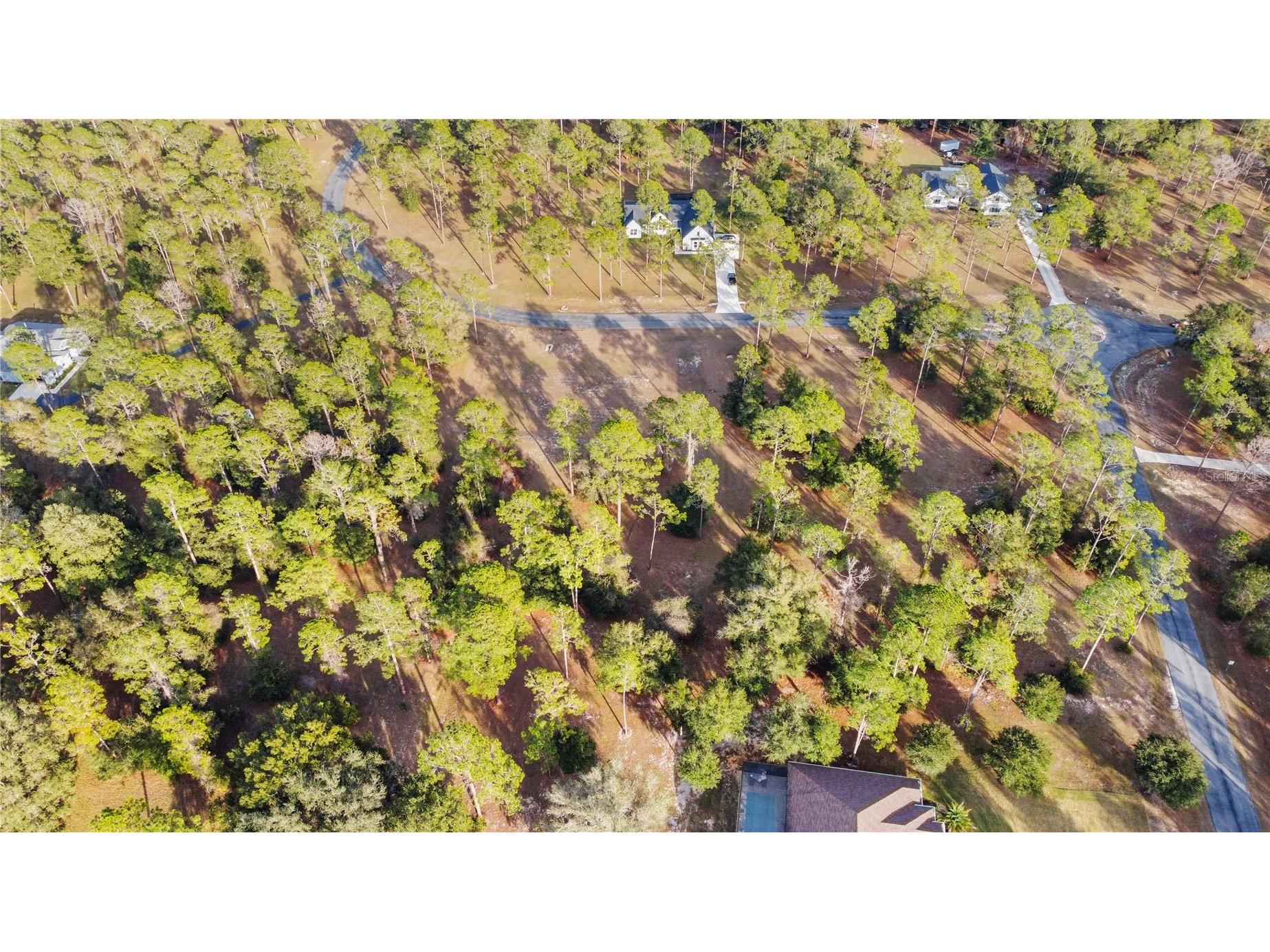 Falabella Groveland FL 34736 O6376979 image23