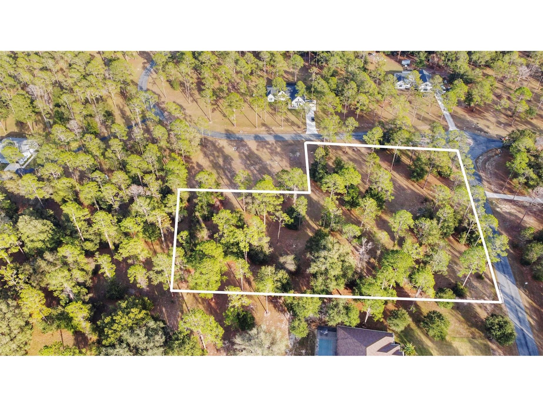 Falabella Groveland FL 34736 O6376979 image24