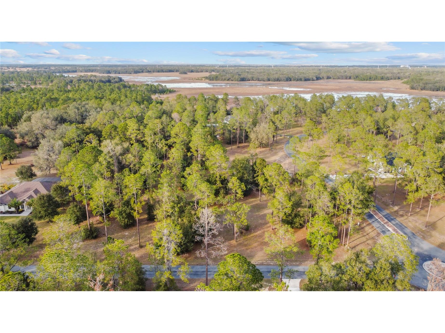 Falabella Groveland FL 34736 O6376979 image27