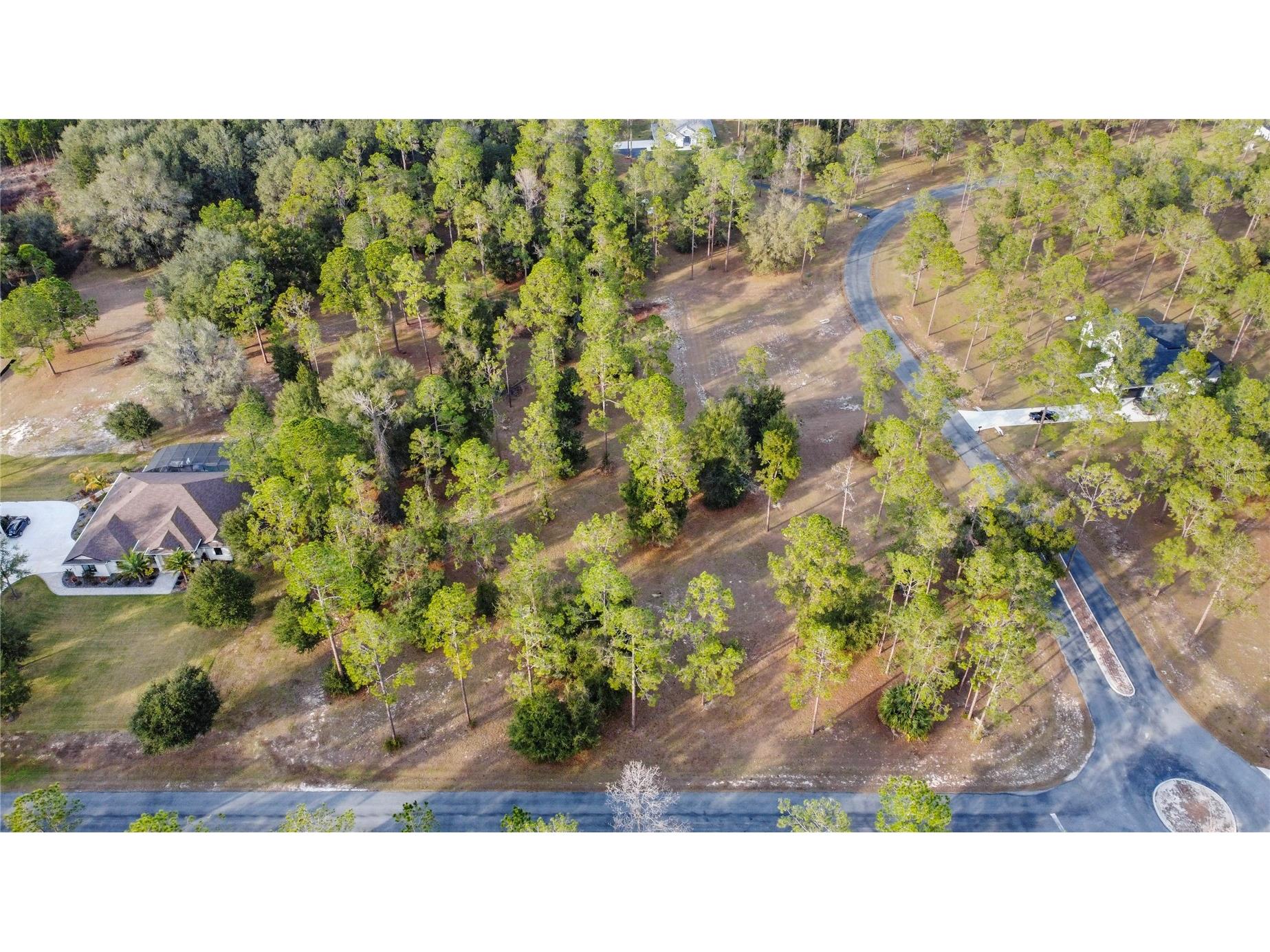 Falabella Groveland FL 34736 O6376979 image28