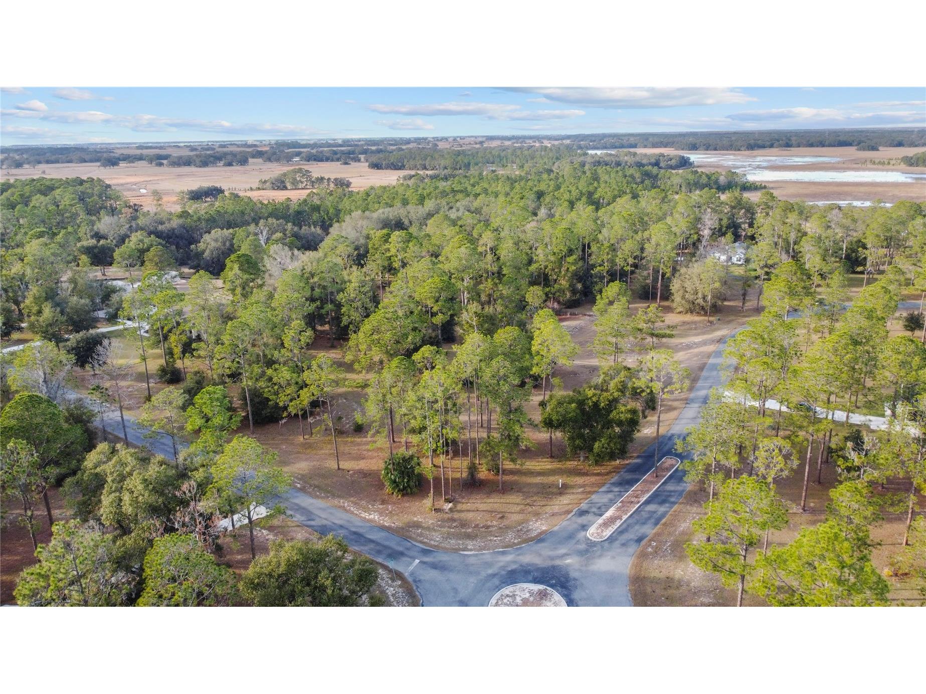 Falabella Groveland FL 34736 O6376979 image29