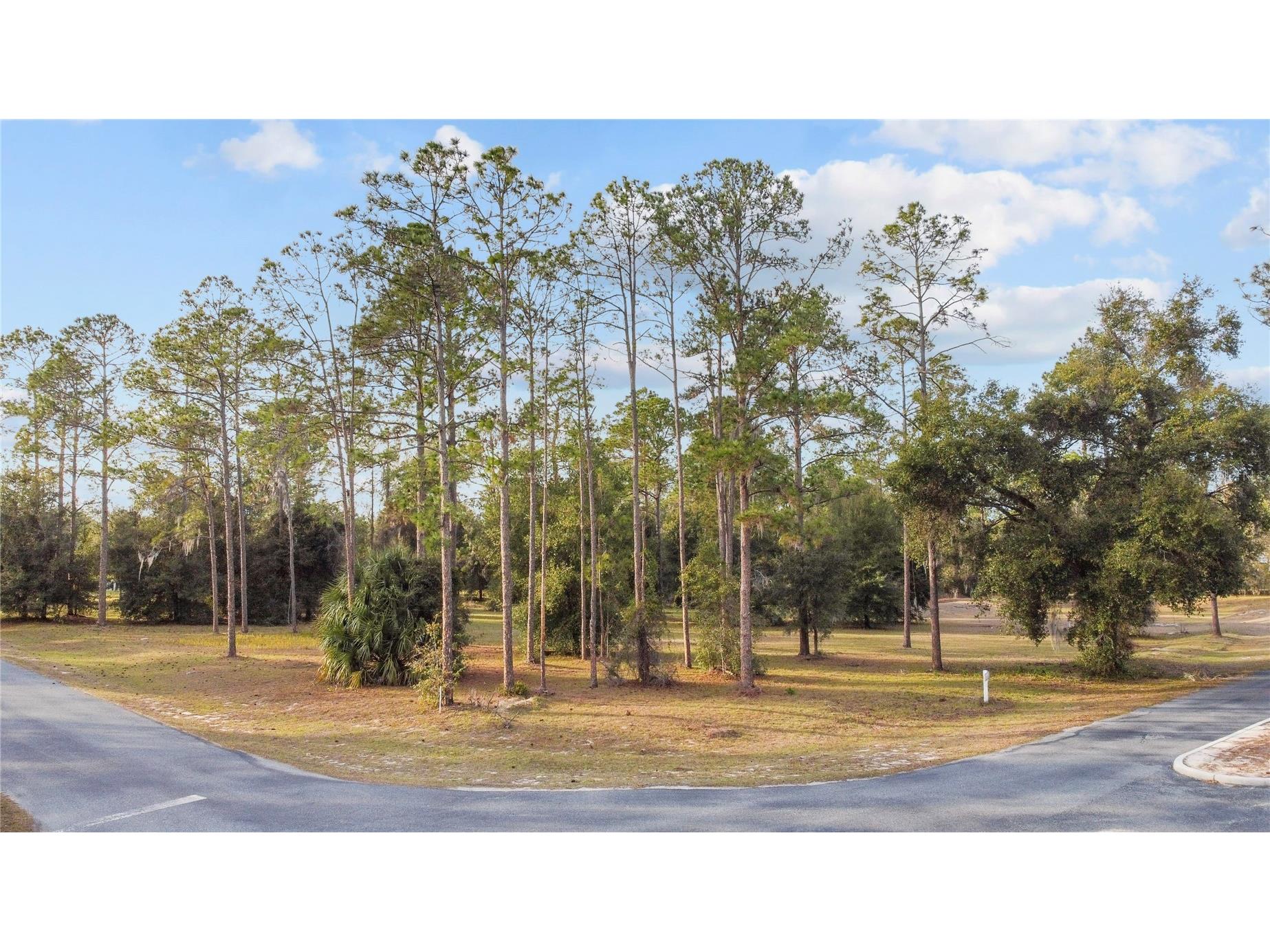 Falabella Groveland FL 34736 O6376979 image3