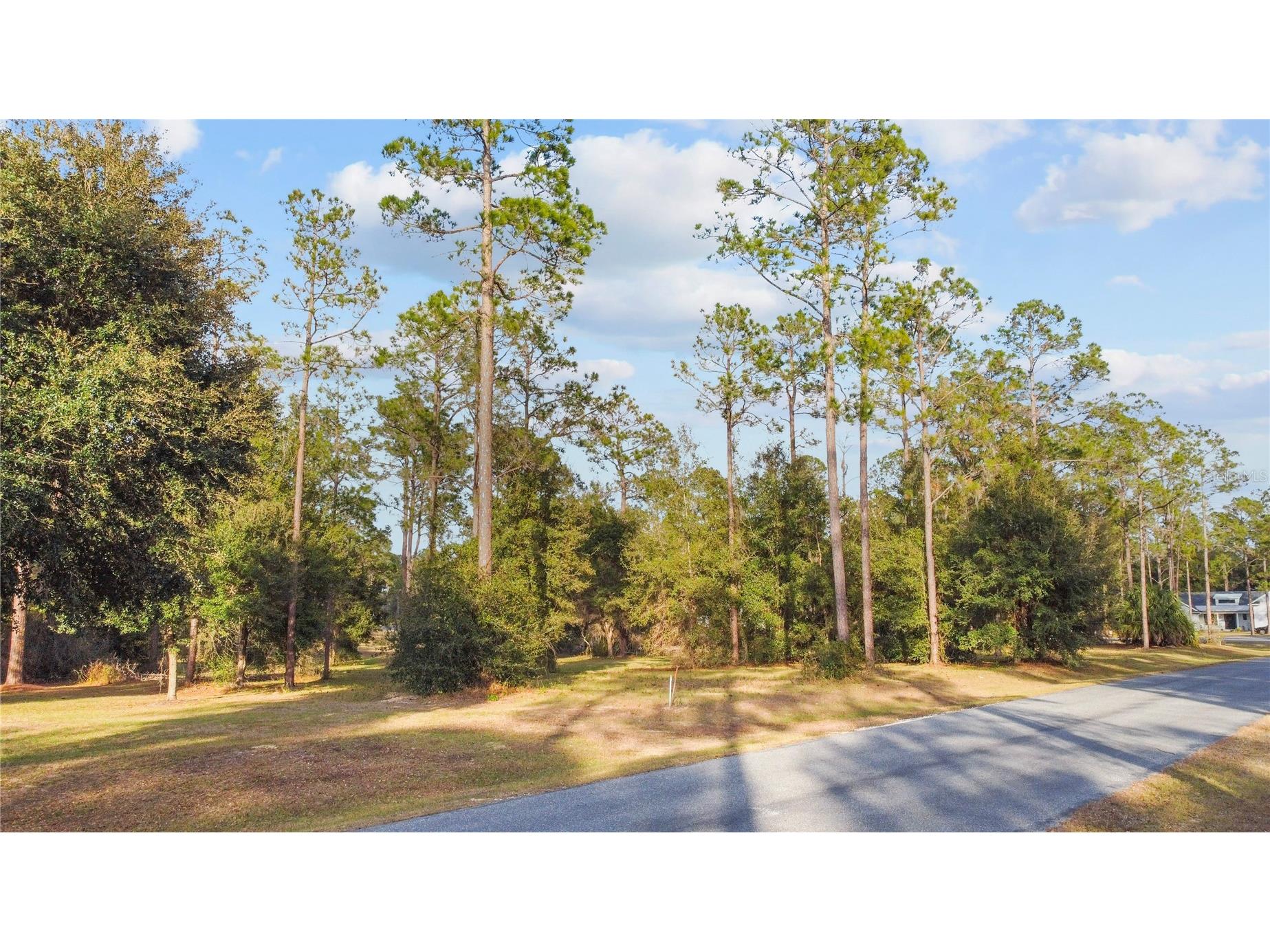 Falabella Groveland FL 34736 O6376979 image30