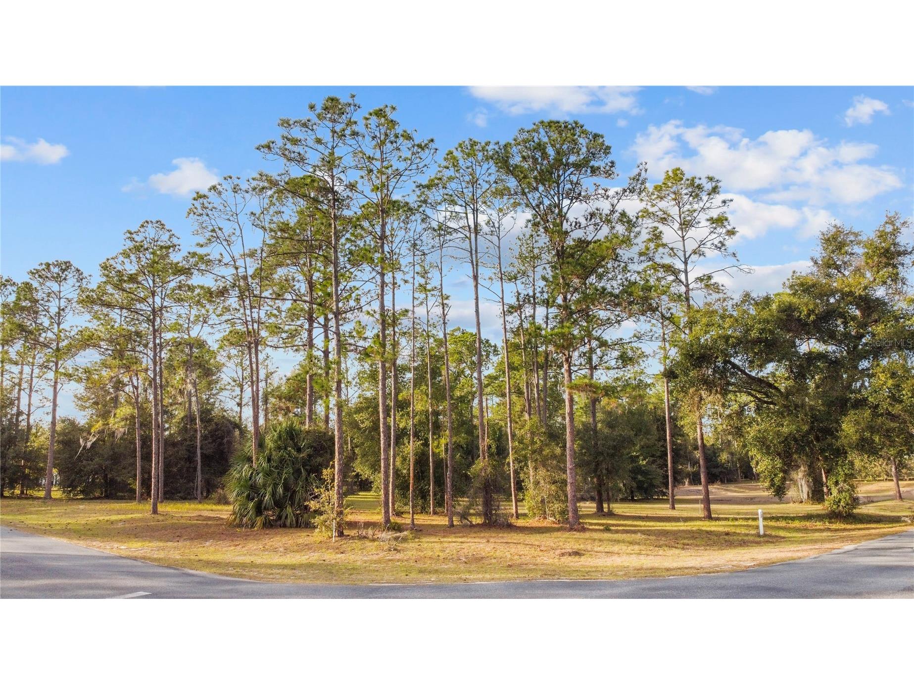 Falabella Groveland FL 34736 O6376979 image31