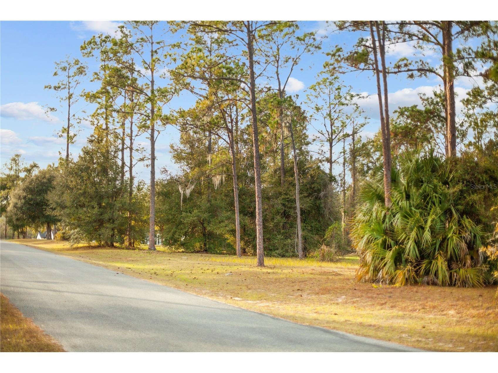 Falabella Groveland FL 34736 O6376979 image32