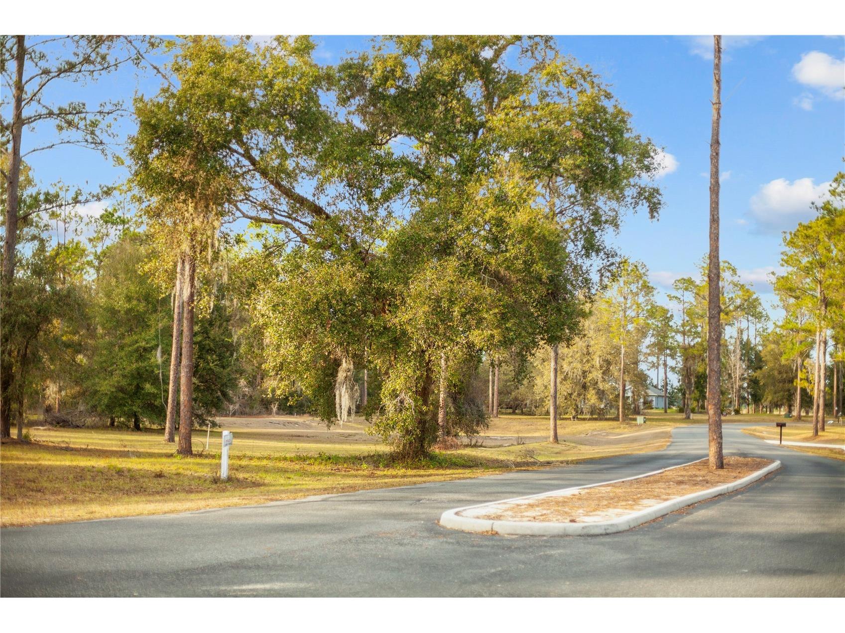 Falabella Groveland FL 34736 O6376979 image33