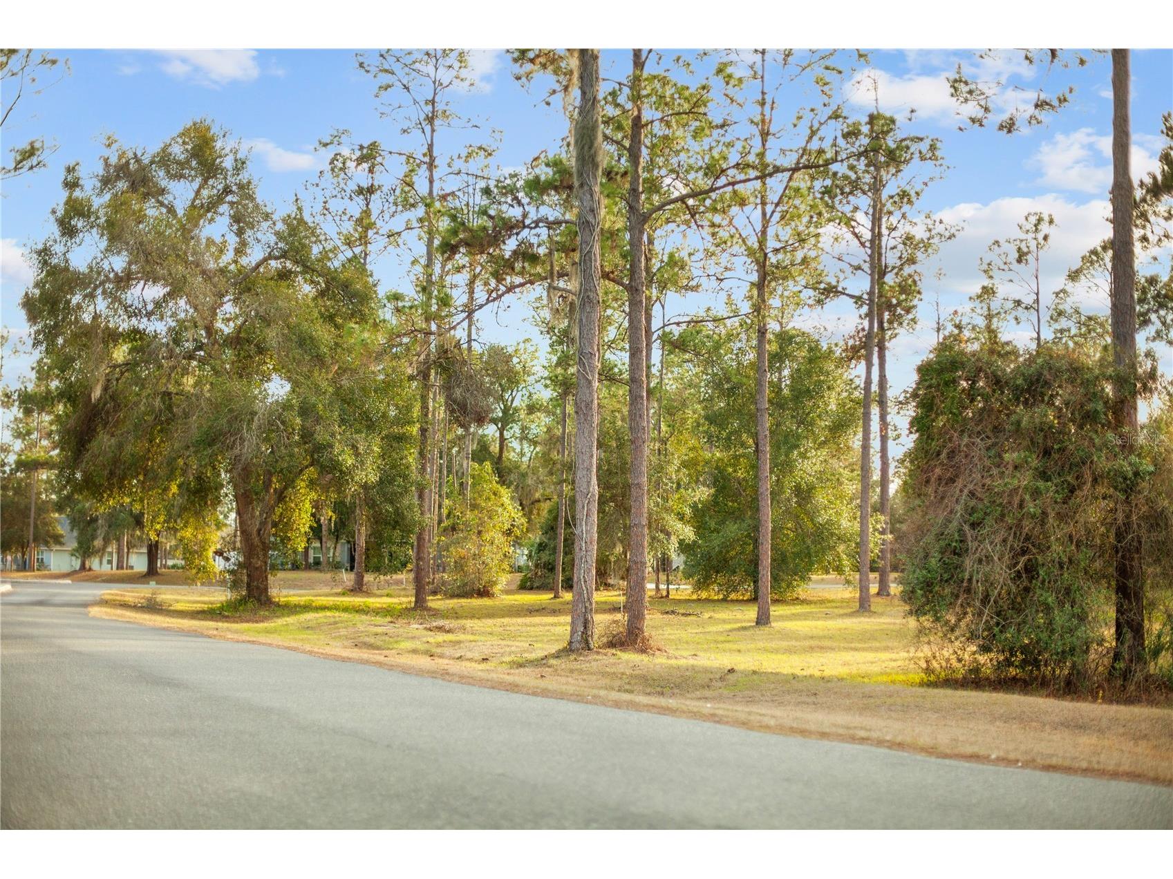 Falabella Groveland FL 34736 O6376979 image35