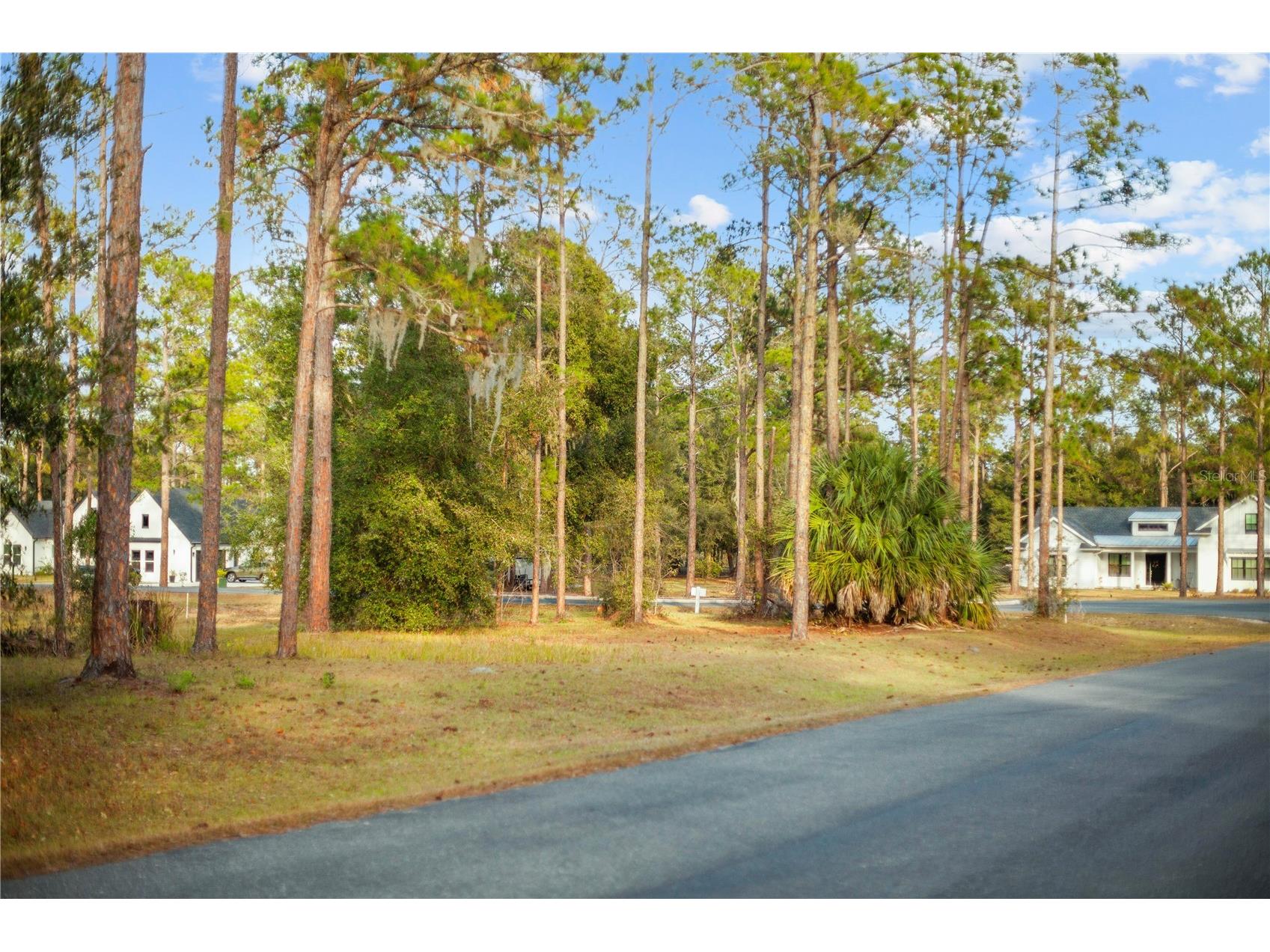 Falabella Groveland FL 34736 O6376979 image37