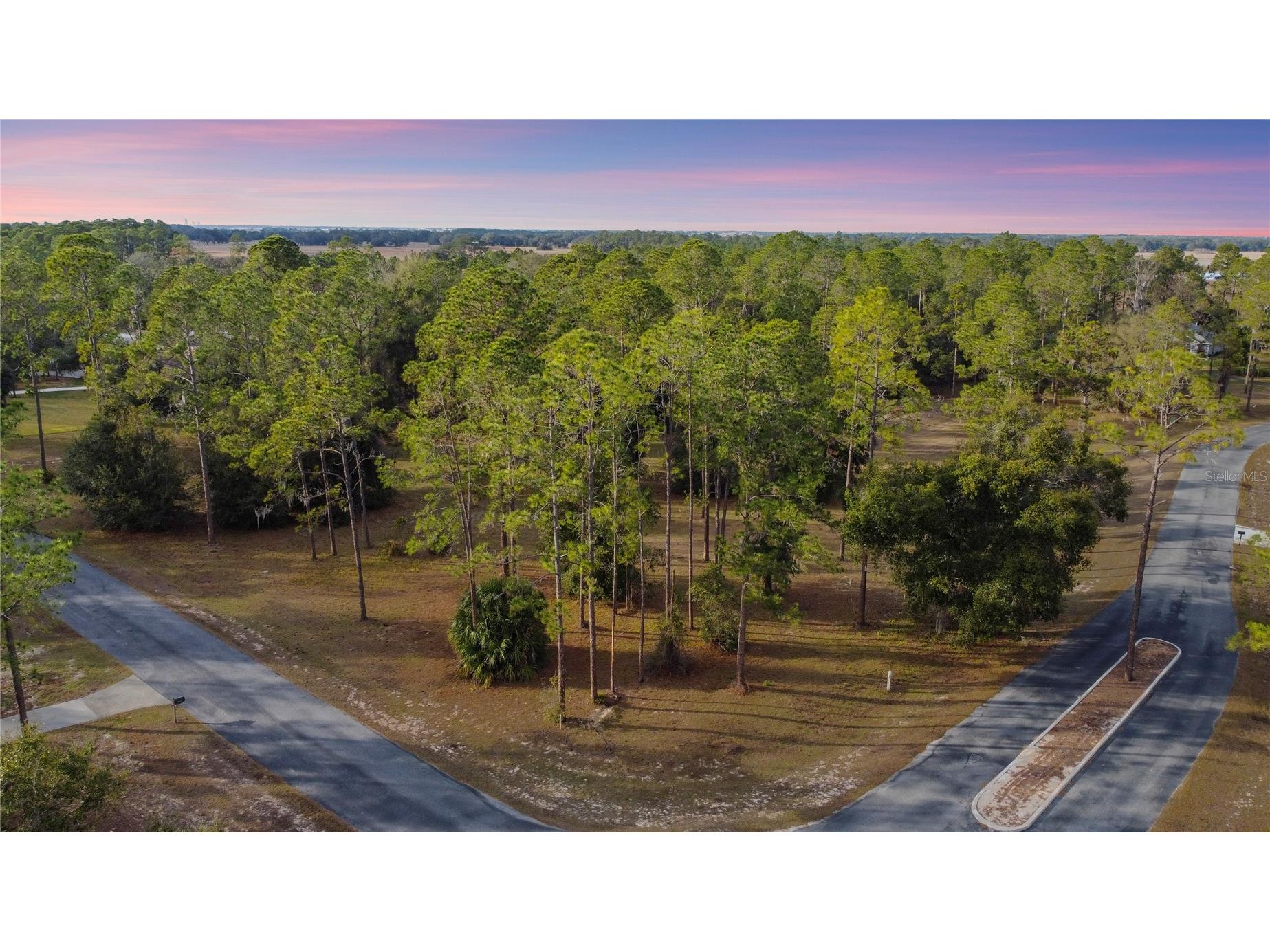 Falabella Groveland FL 34736 O6376979 image38