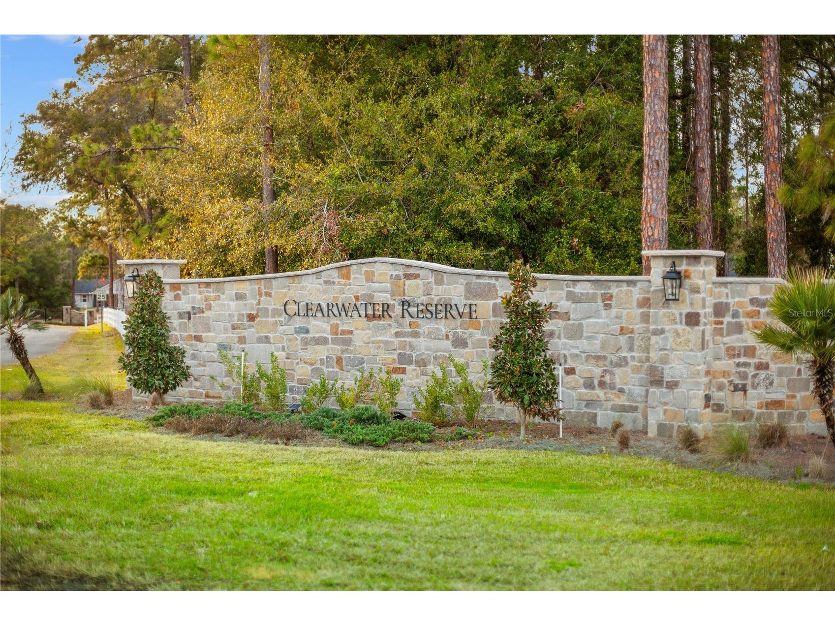 Falabella Groveland FL 34736 O6376979 image42