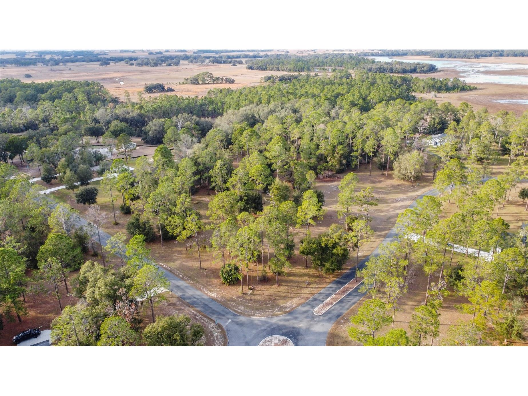 Falabella Groveland FL 34736 O6376979 image6