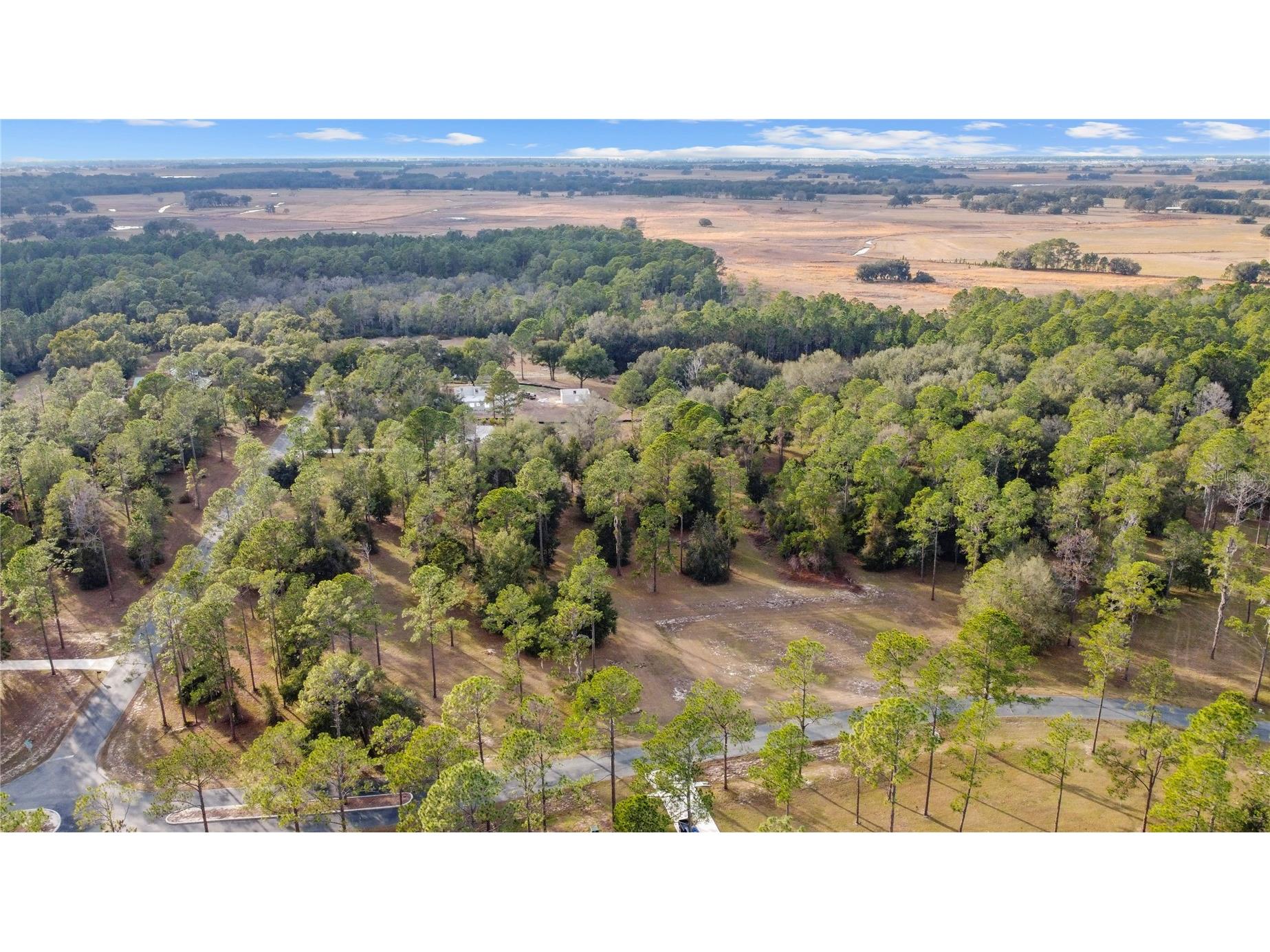 Falabella Groveland FL 34736 O6376979 image7