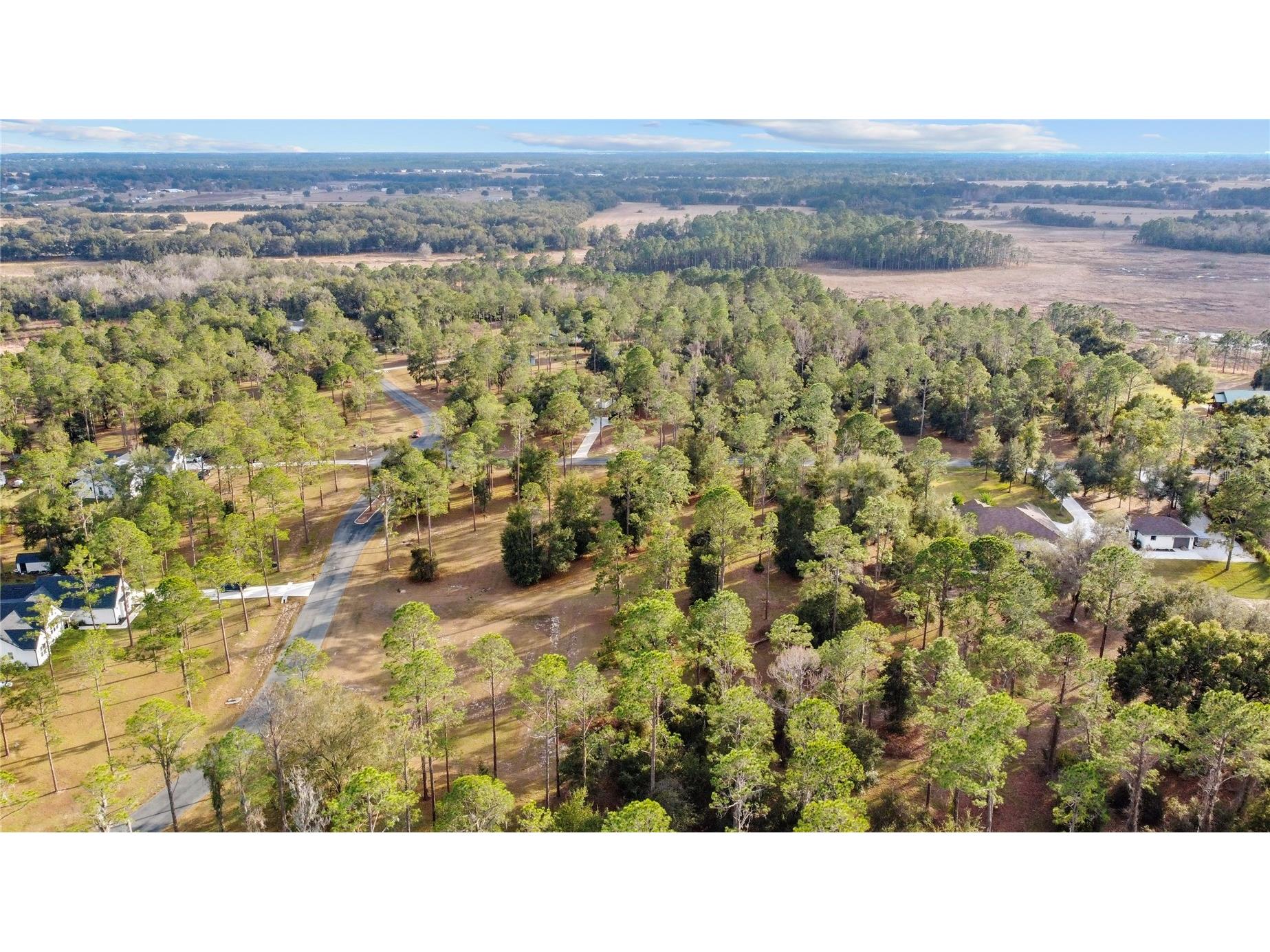 Falabella Groveland FL 34736 O6376979 image9