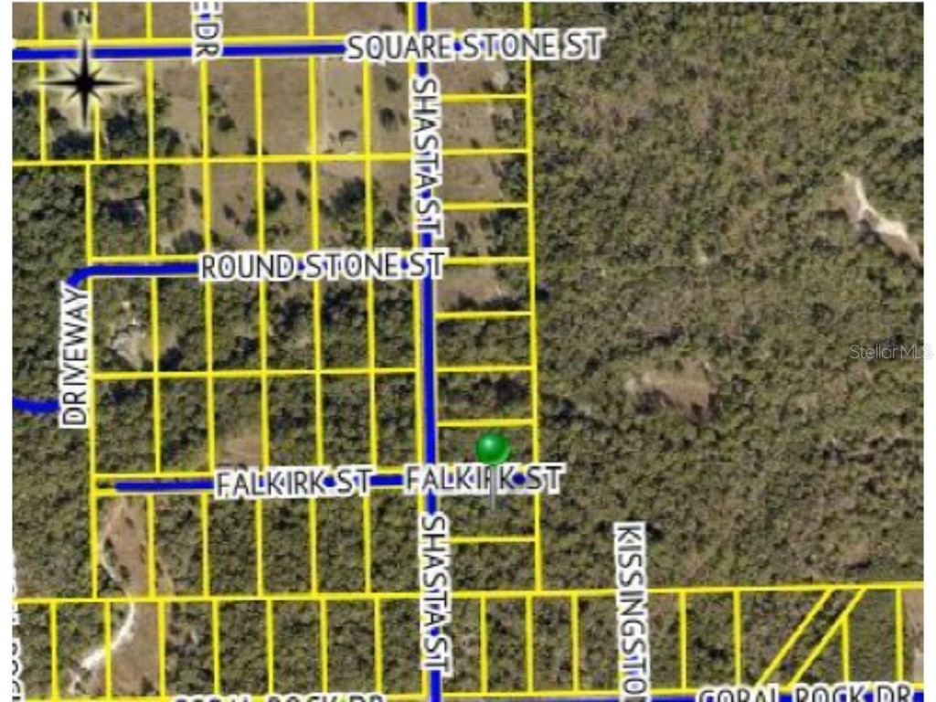 Falkirk Street Webster FL 33597 T3326357 image1