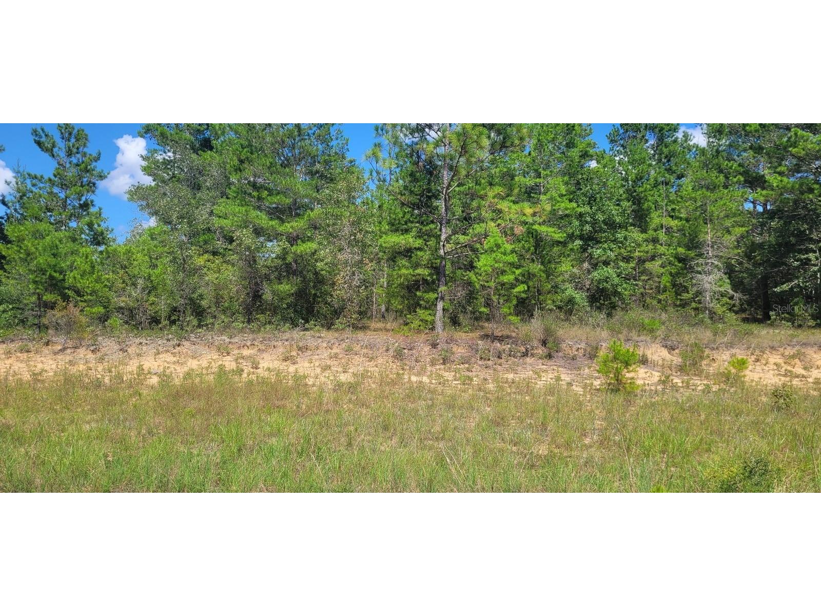 Farmington Drive Chipley FL 32428 TB8412674 image11