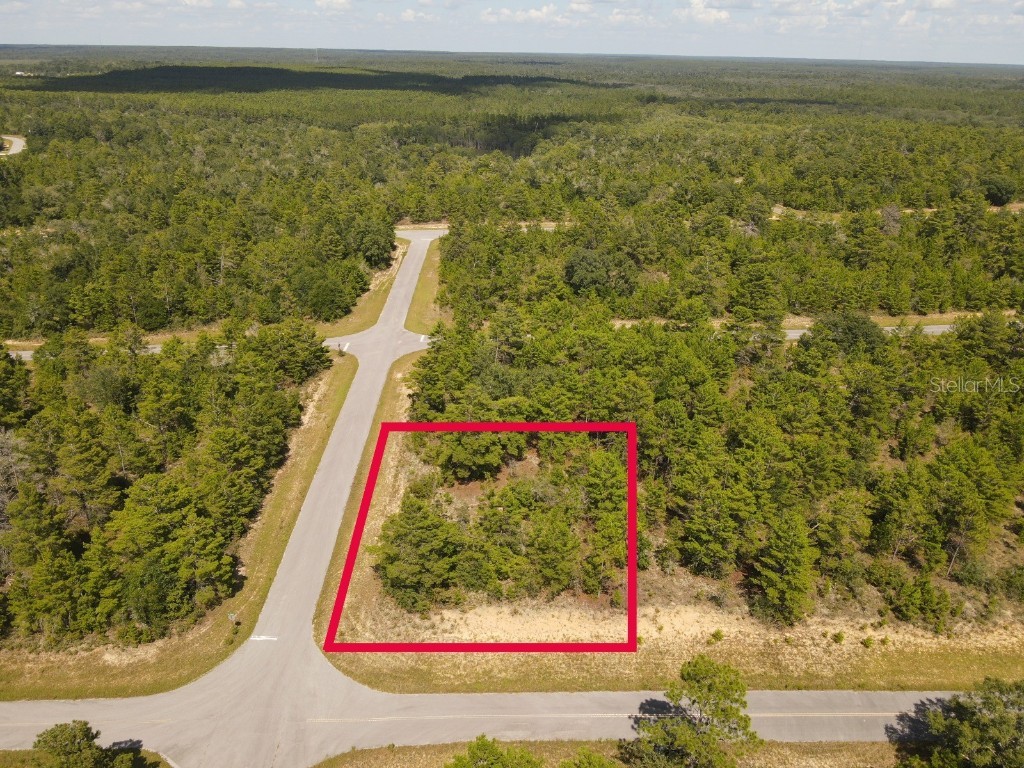 Farmington Drive Chipley FL 32428 TB8412674 image4