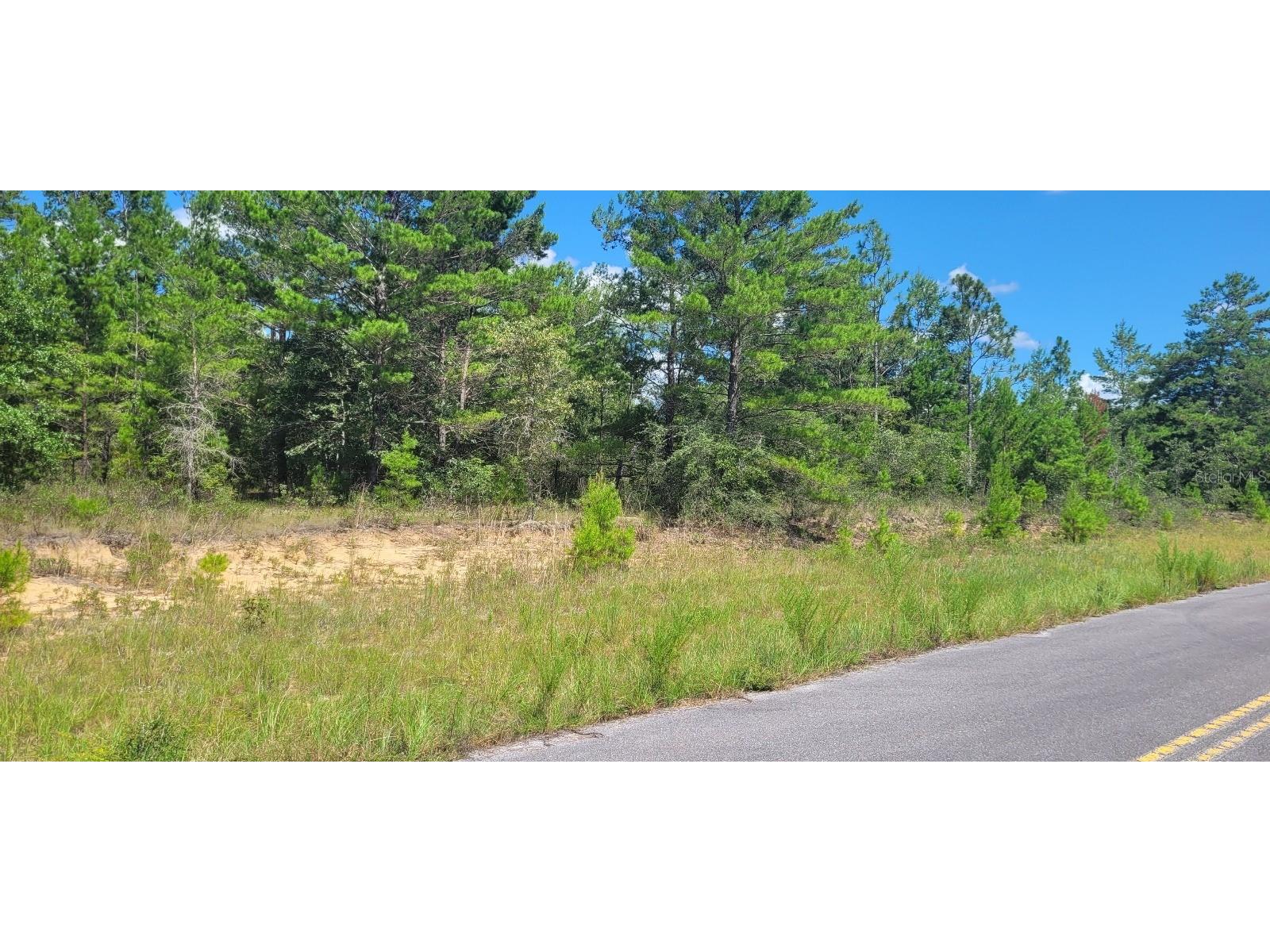 Farmington Drive Chipley FL 32428 TB8412674 image7