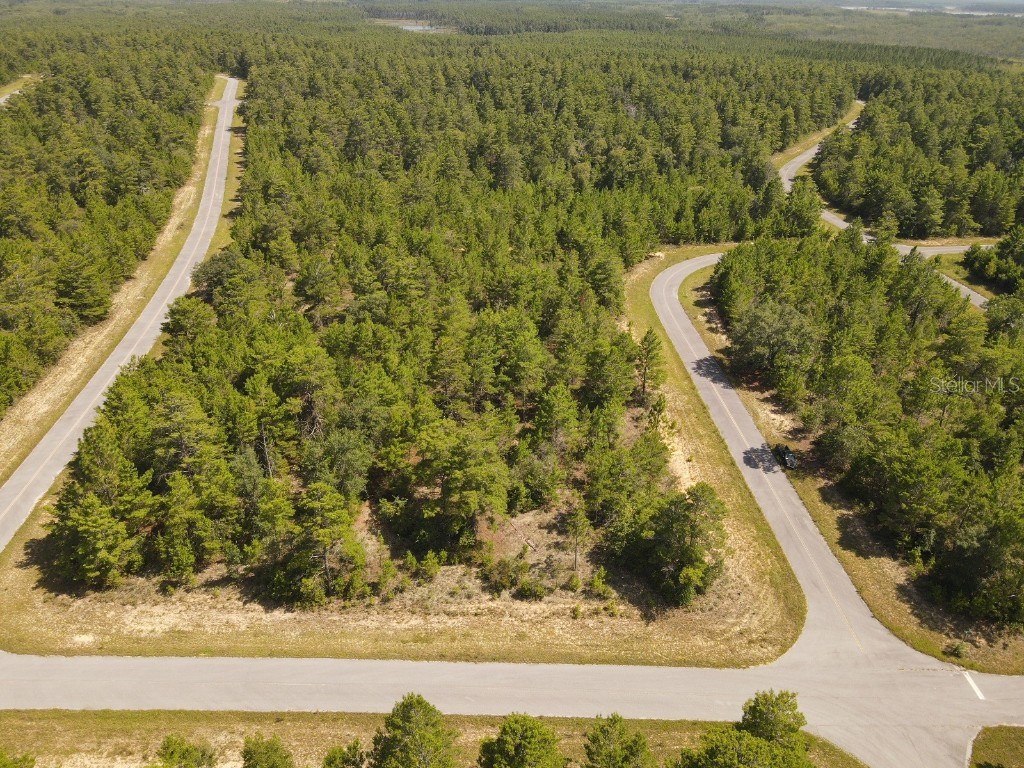 Farmington Drive Chipley FL 32428 TB8412674 image8