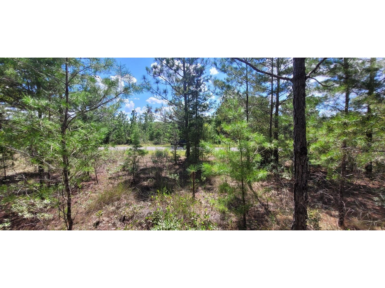 Farmington Drive Chipley FL 32428 TB8412674 image9