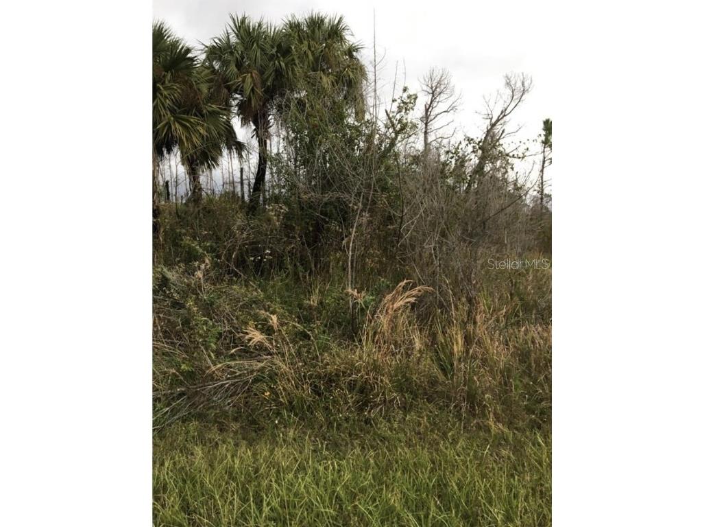 Farview Drive North Port FL 34288 T3487387 image1