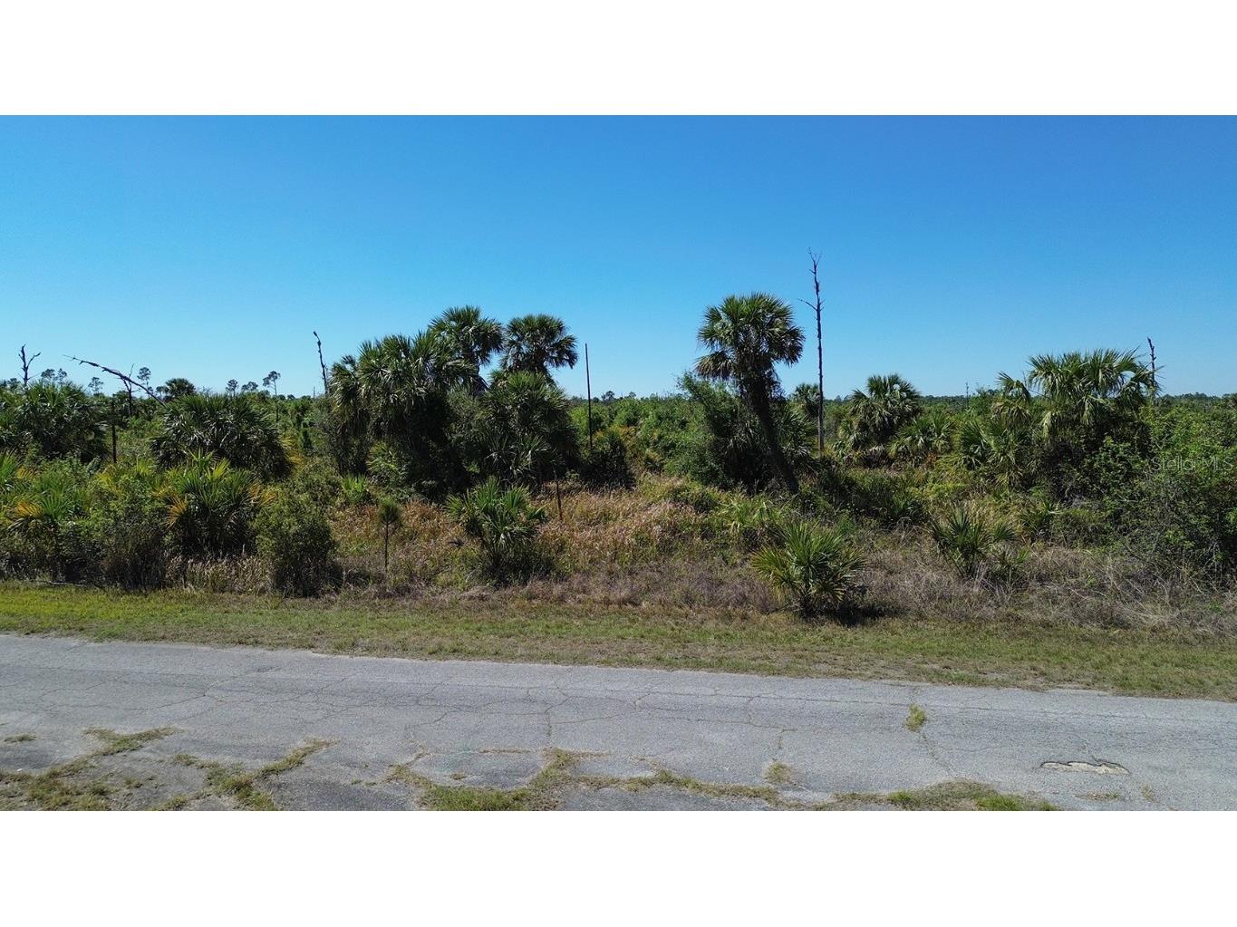 Farview Drive North Port FL 34288 C7504995 image10