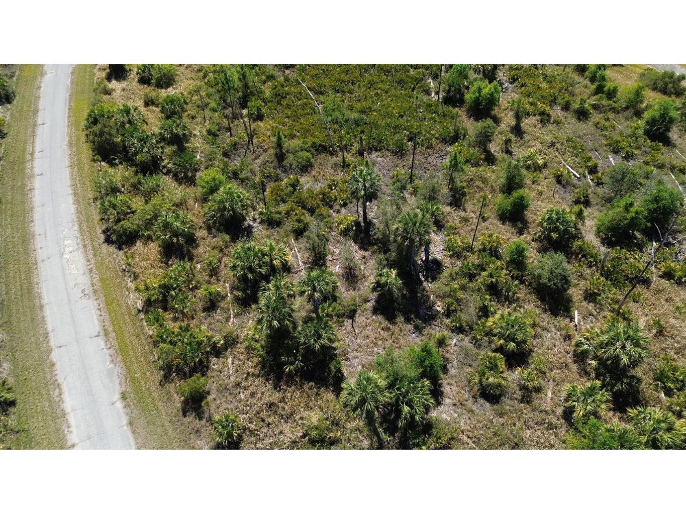 Farview Drive North Port FL 34288 C7504995 image11