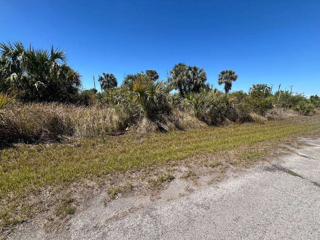 Farview Drive North Port FL 34288 C7504995 image3