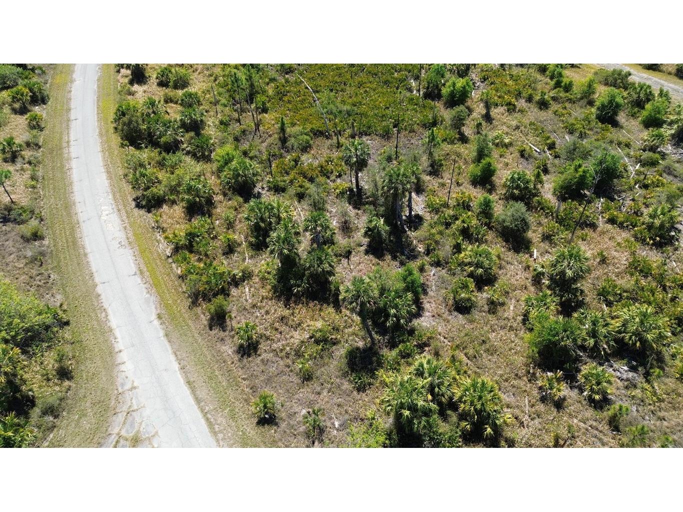 Farview Drive North Port FL 34288 C7504995 image6