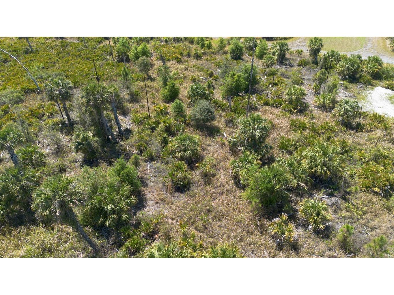 Farview Drive North Port FL 34288 C7504995 image8