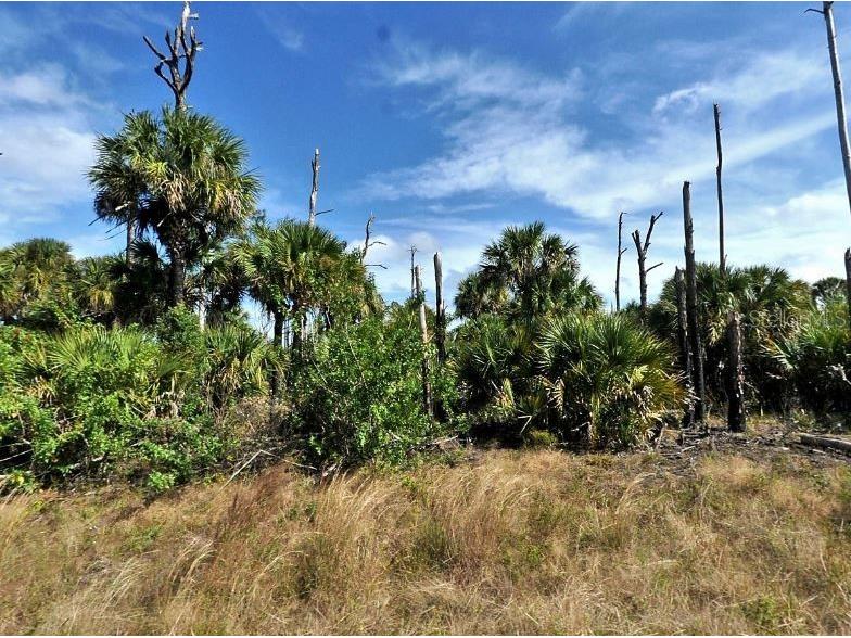 Farview Drive North Port FL 34288 O6189755 image2