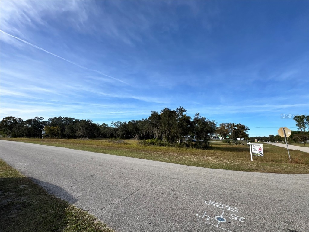 Fast Trot Trail Lake Wales FL 33898 S5138409 image5