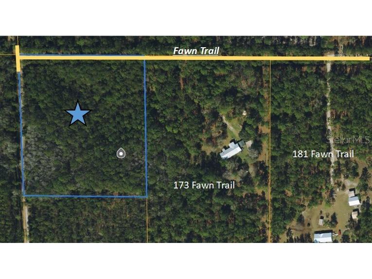 Fawn Trail Palatka FL 32177 U8248417 image1