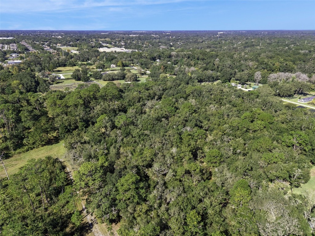 Faye Street Apopka FL 32712 O6355948 image13