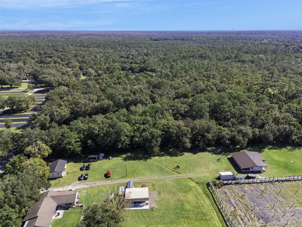 Faye Street Apopka FL 32712 O6355948 image16