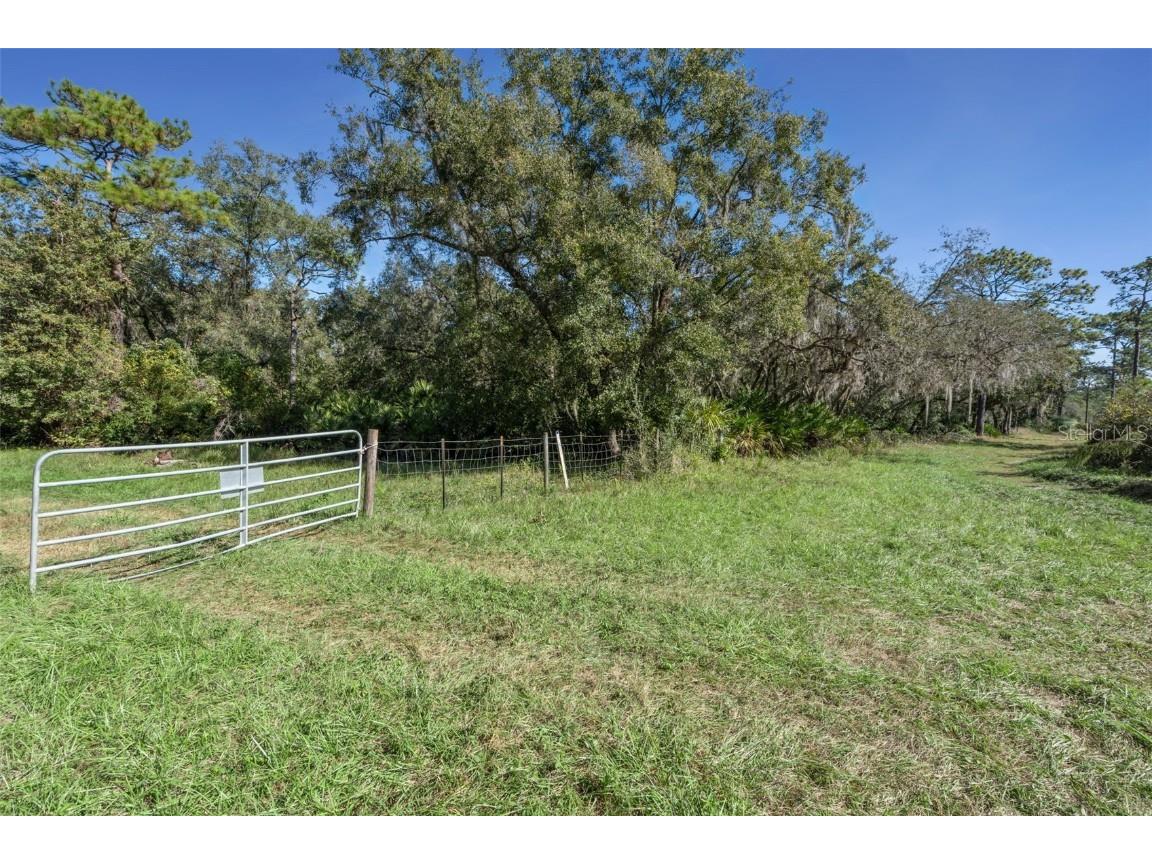 Faye Street Apopka FL 32712 O6355948 image18