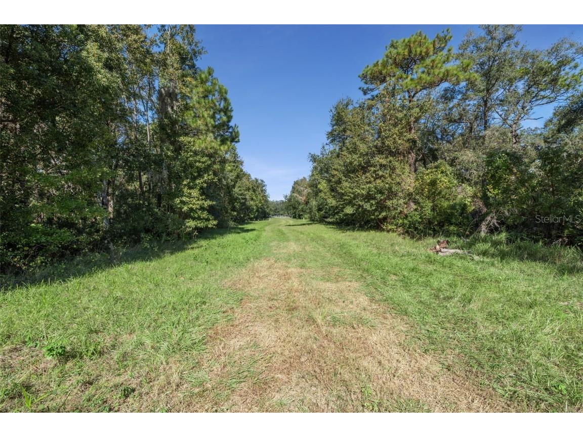 Faye Street Apopka FL 32712 O6355948 image19