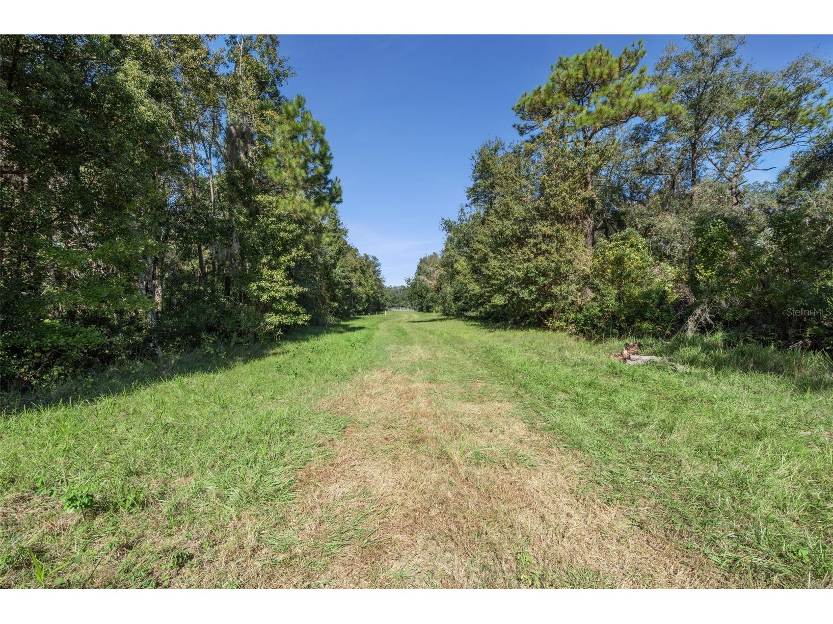 Faye Street Apopka FL 32712 O6355948 image21