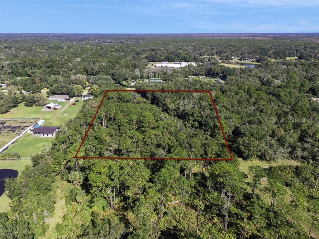 Faye Street Apopka FL 32712 O6355948 image5