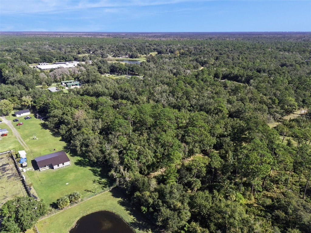 Faye Street Apopka FL 32712 O6355948 image7