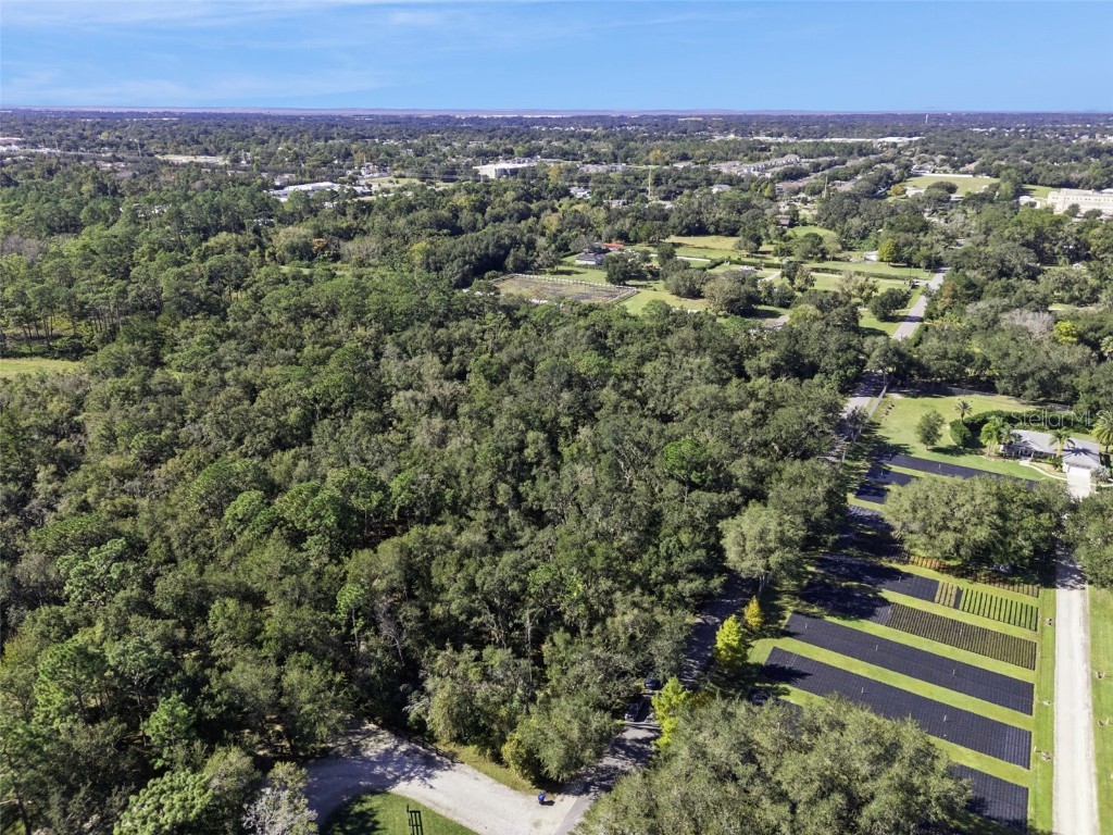 Faye Street Apopka FL 32712 O6355948 image9