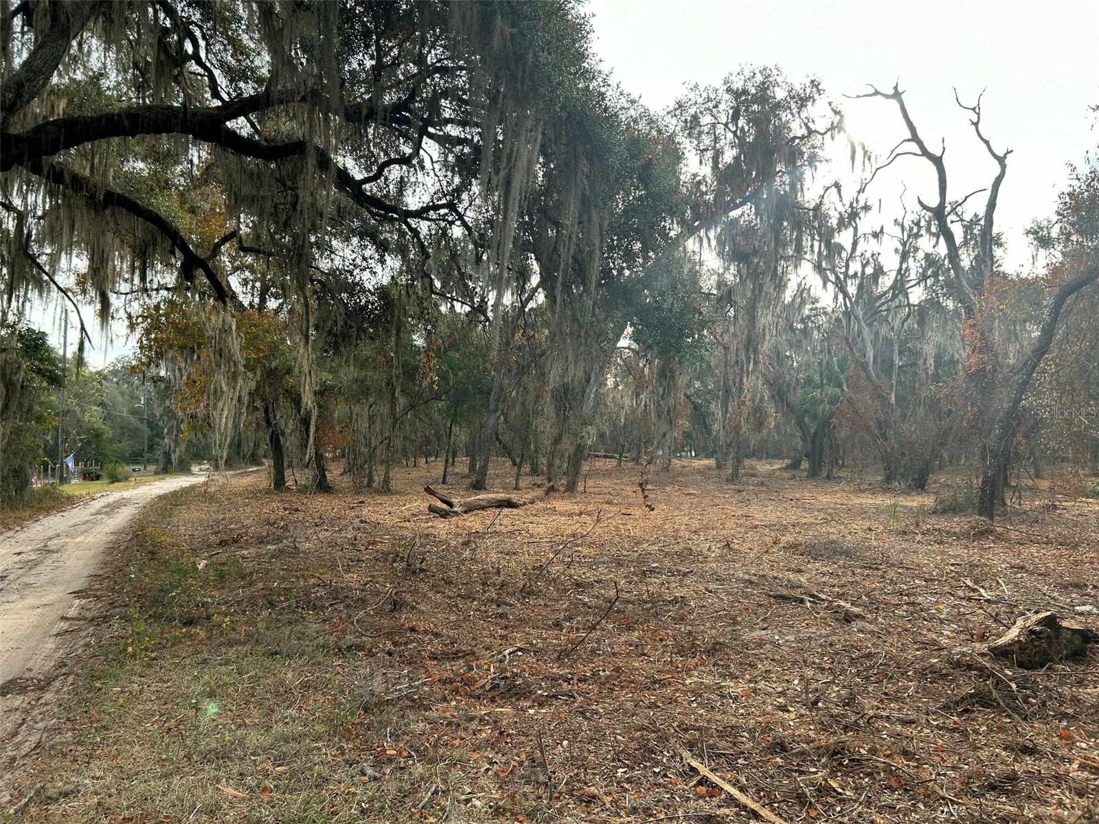 Faye Street Hawthorne FL 32640 O6371460 image6