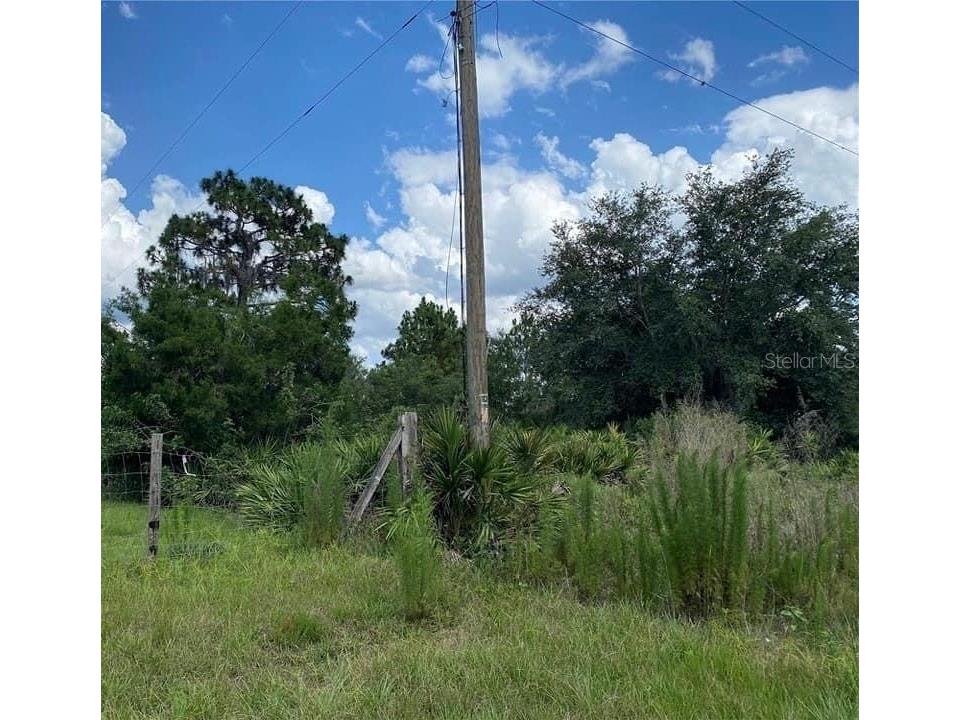 Fazzini Drive Frostproof FL 33843 O6196697 image1