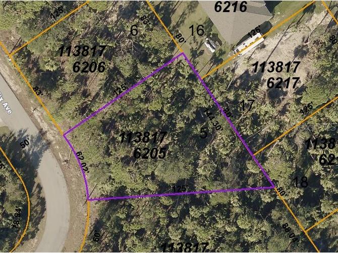 Felix Avenue North Port FL 34288 C7481412 image1