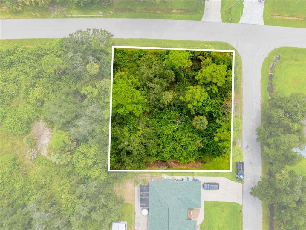 Fernandina Street North Port FL 34287 N6140681 image4