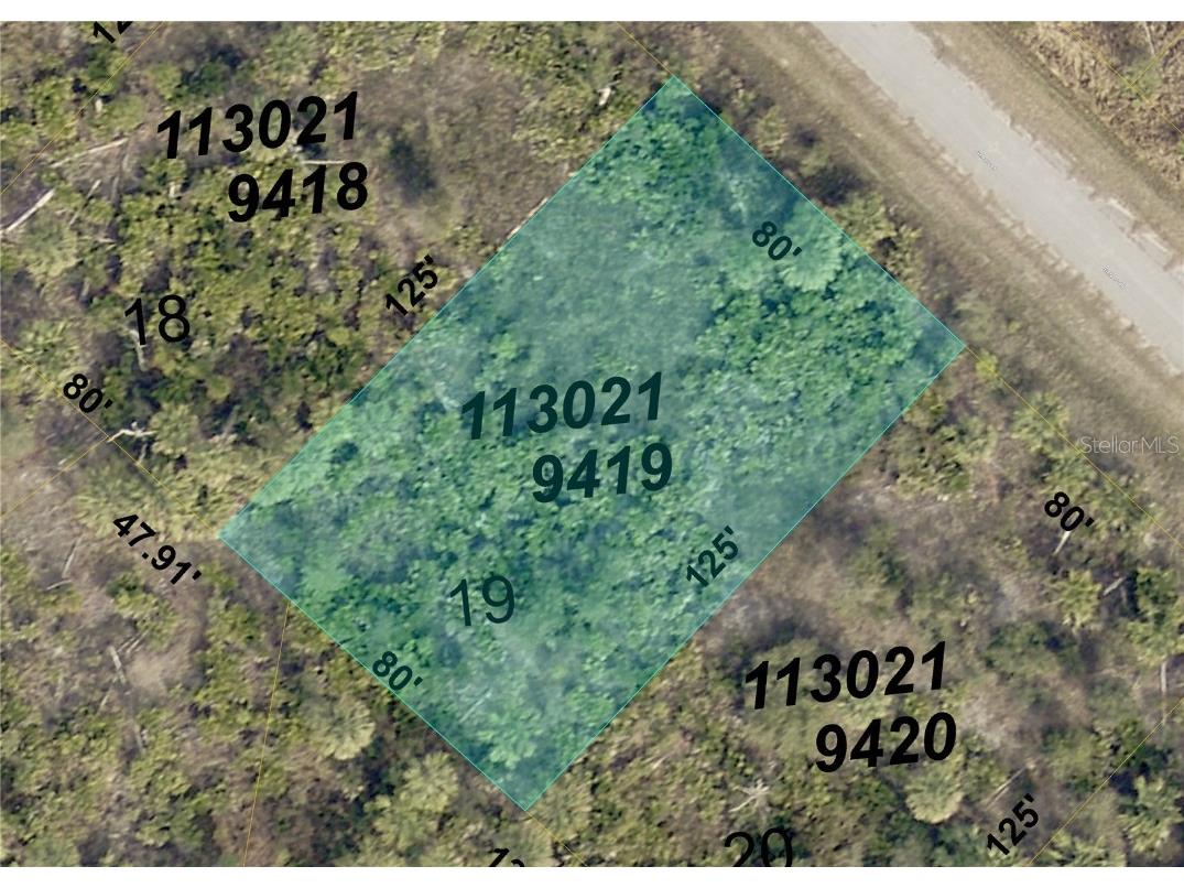 Fielders (Lot 19) Road North Port FL 34288 D6142402 image1
